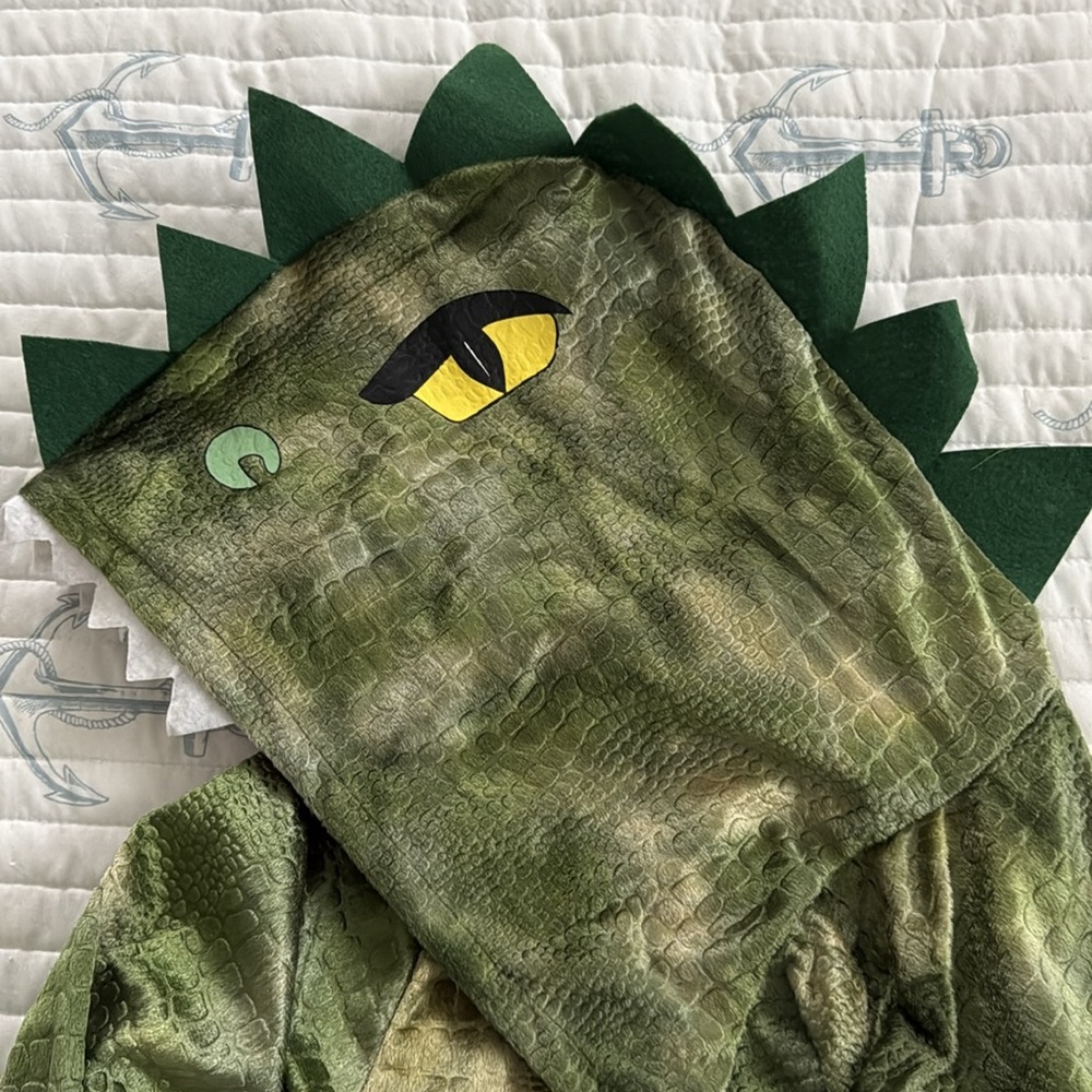 Comfy Dinosaur Costume Adult